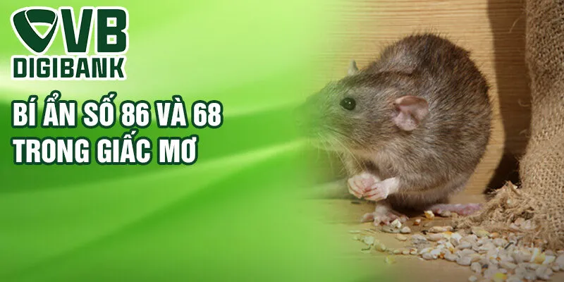 Bí ẩn số 86 và 68 trong giấc mơ