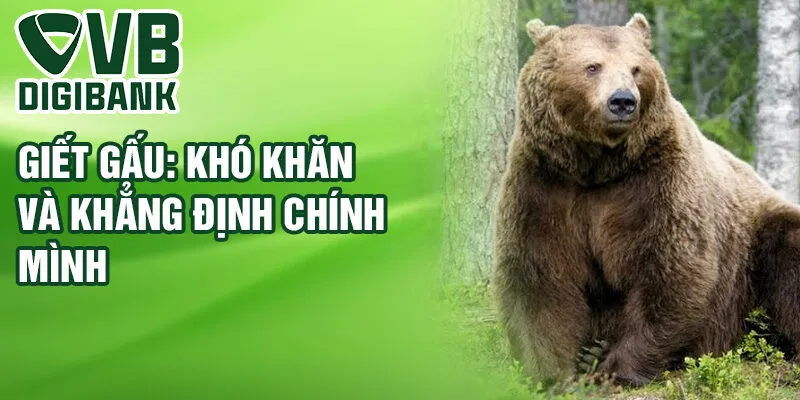 Giết gấu: khó khăn và khẳng định chính mình