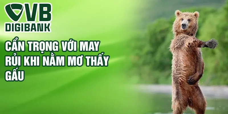 Cẩn trọng với may rủi khi nằm mơ thấy gấu