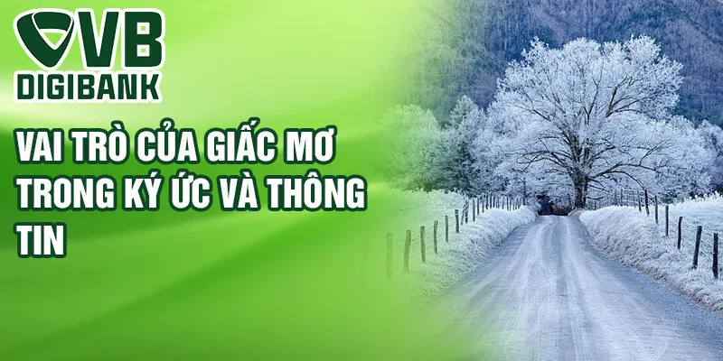 Vai trò của giấc mơ trong ký ức và thông tin